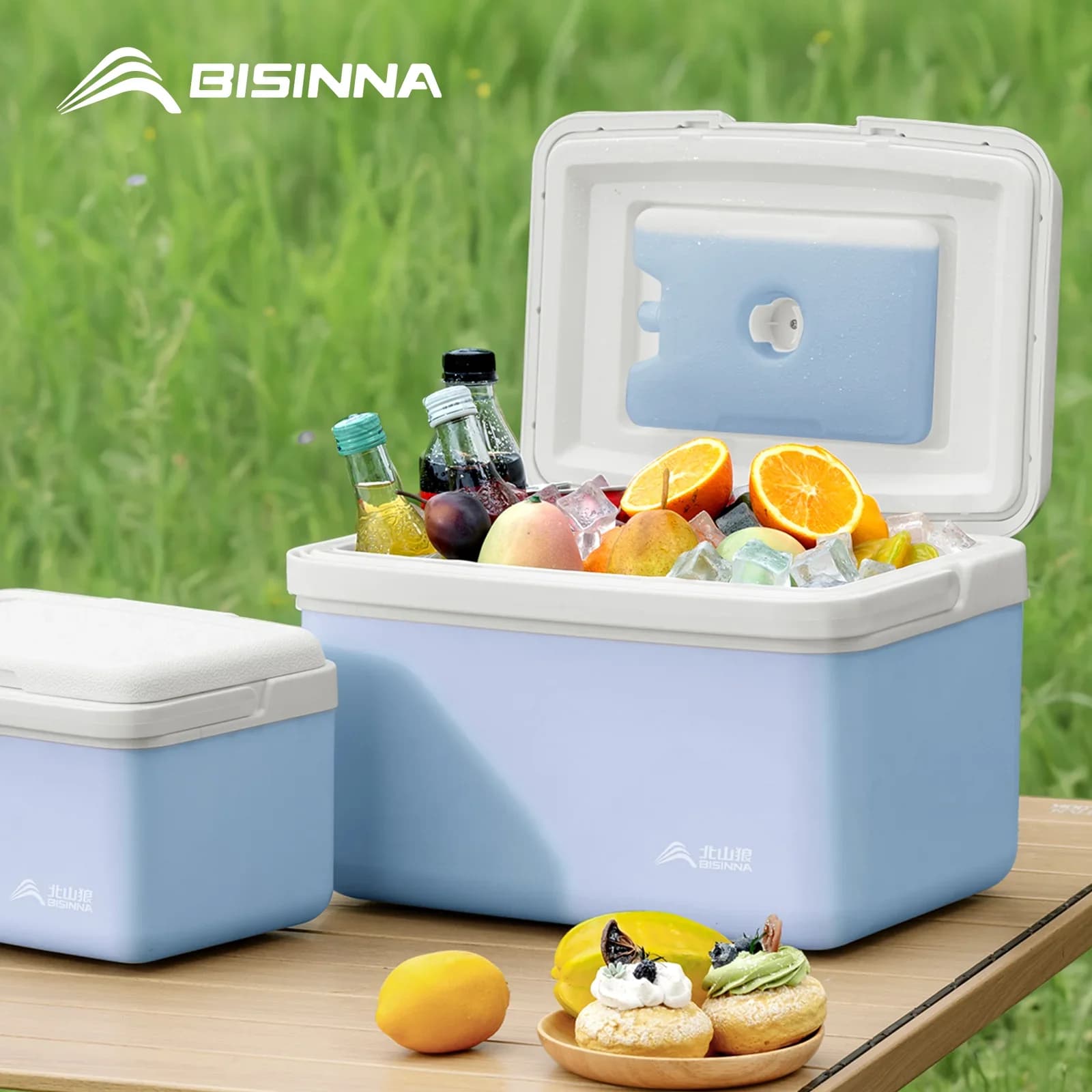 BISINNA kamping hladilna torba 6L/9L/15L, prenosni hladilnik za ribolov, avto, plažo in piknik